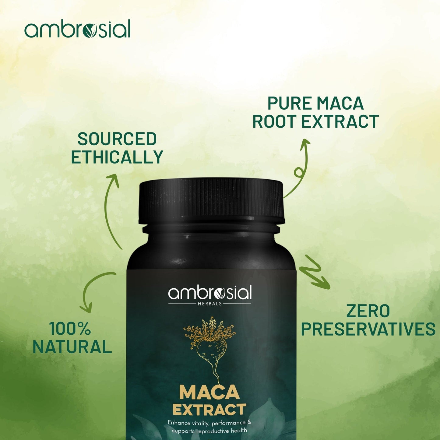 Maca Extract