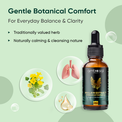 Mullein Extract Drops