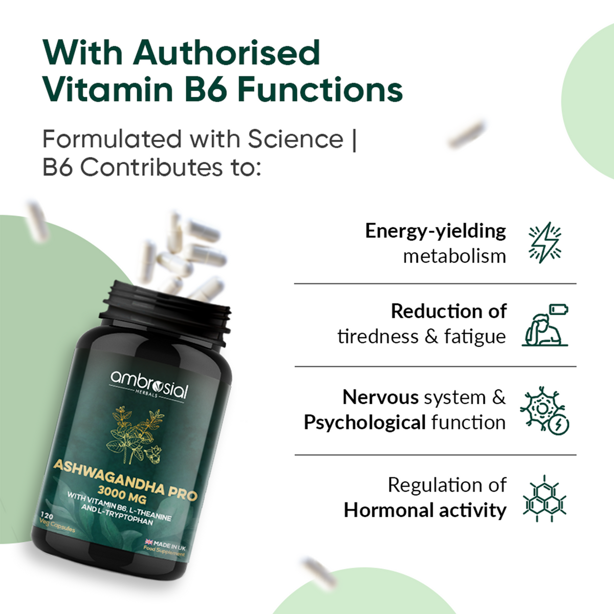 Ashwagandha Capsules Pro - 3000mg