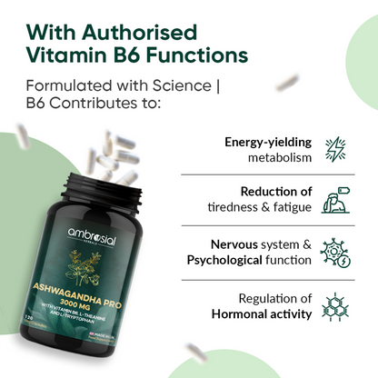Ashwagandha Capsules Pro - 3000mg