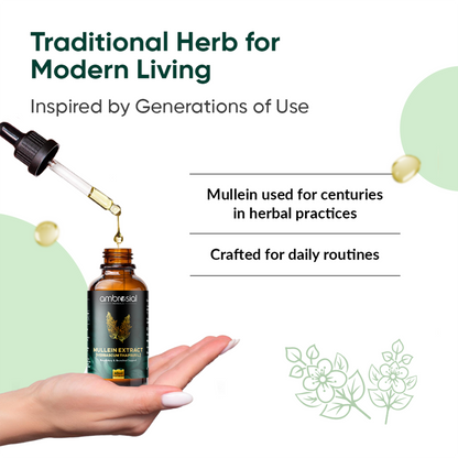Mullein Extract Drops
