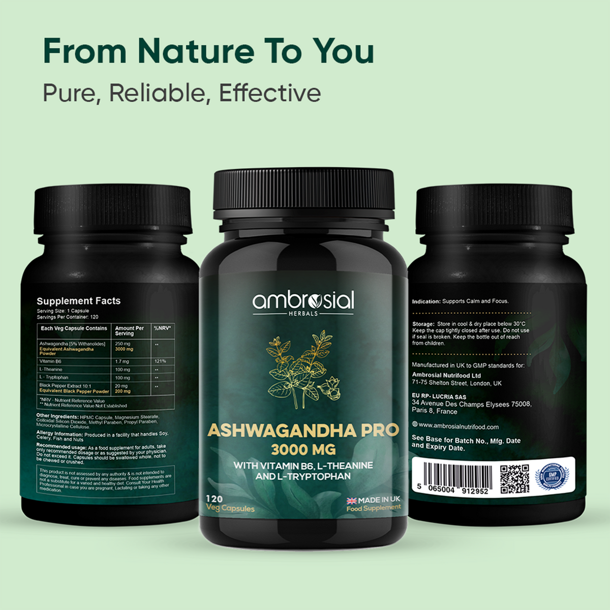 Ashwagandha Capsules Pro - 3000mg
