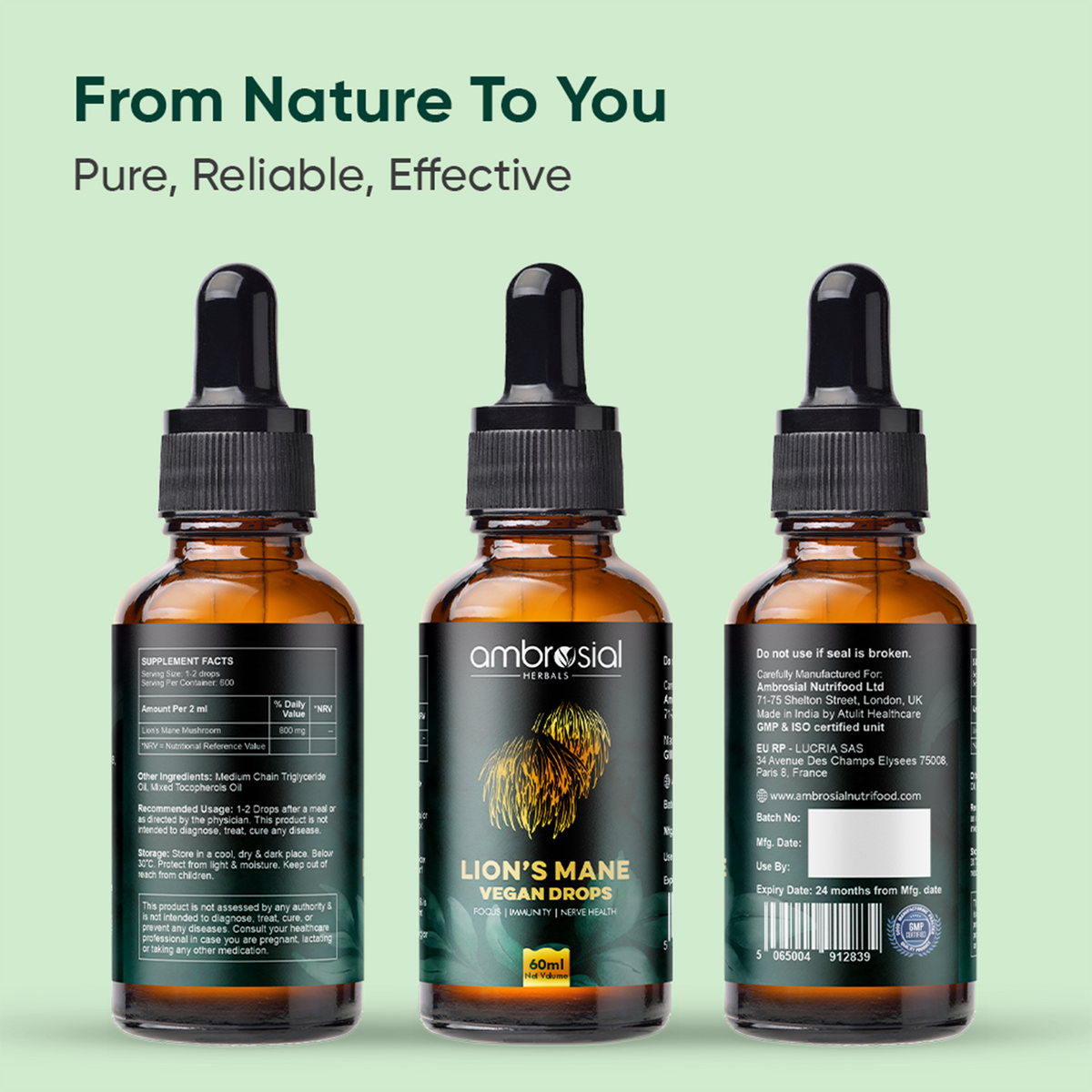 Lion’s Mane Vegan Drops