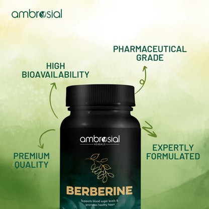 Berberine 500 mg