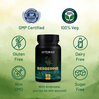 Berberine 500 mg