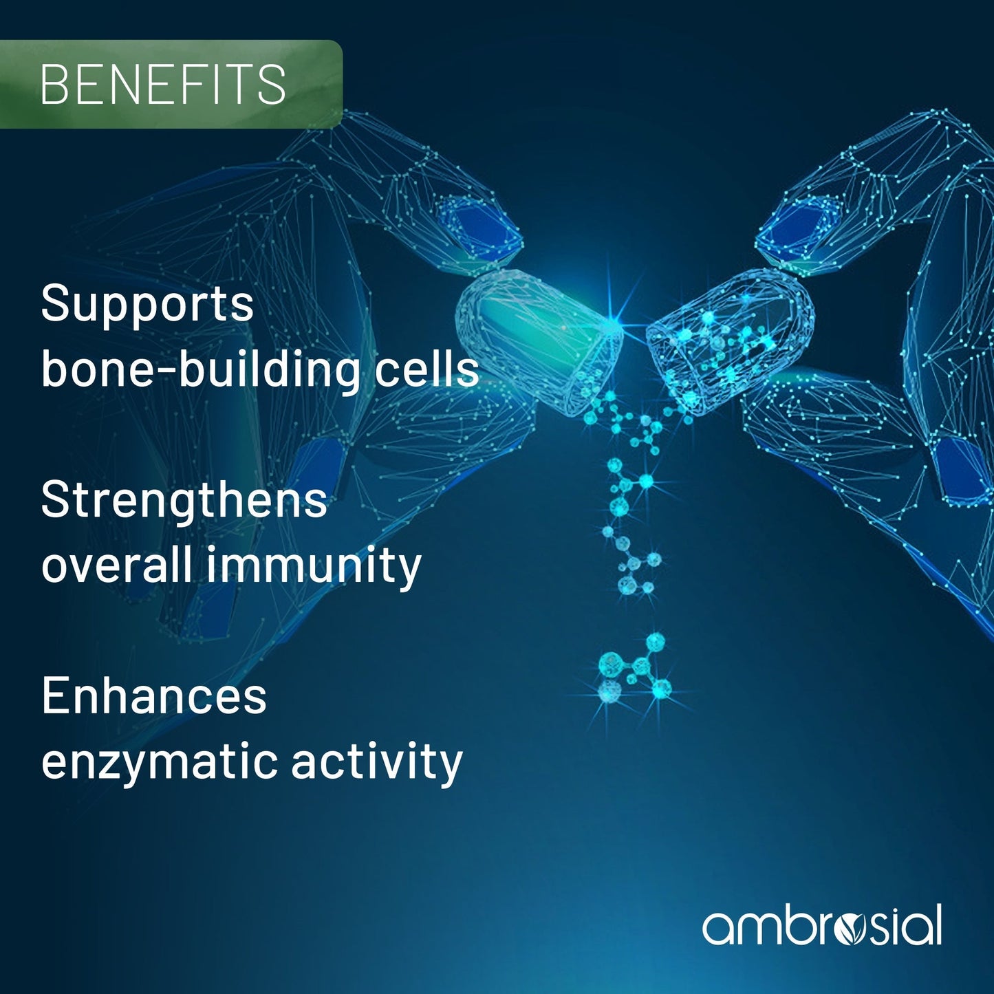 Calcium with Zinc, Magnesium & D3
