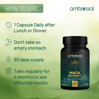 Maca Extract
