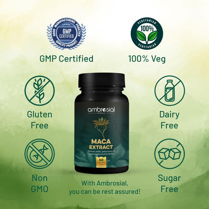 Maca Extract